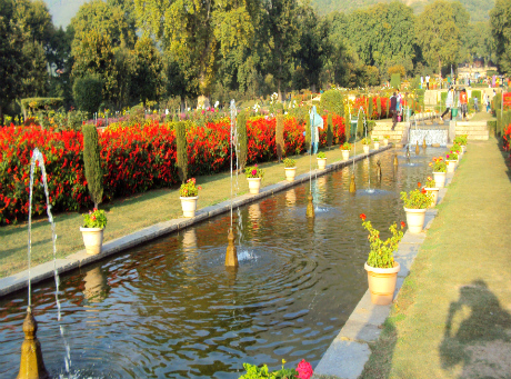 mugal-garden-srinagar1-1