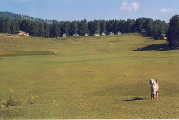 Sanasar1
