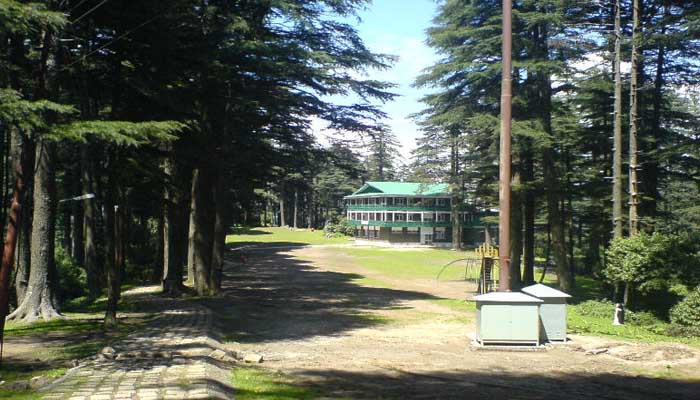 patnitop