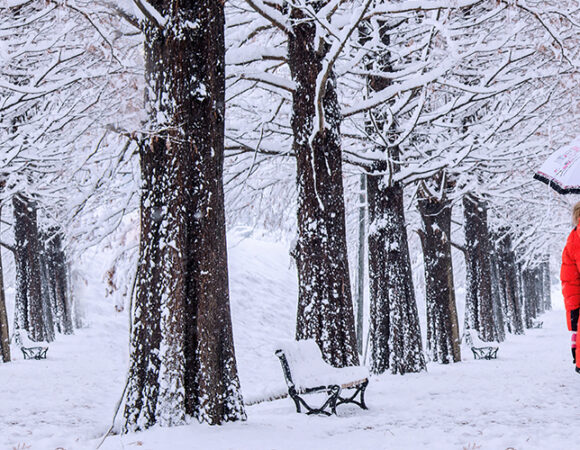 First Snowfall in Kashmir, Delight For Winter Tourist