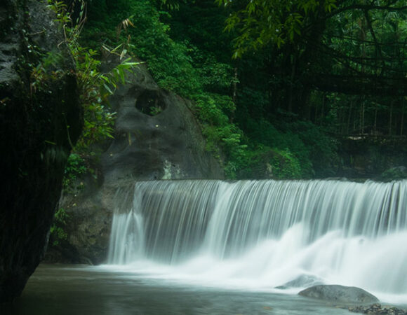 Explore Wildlife in Jammu & Kashmir