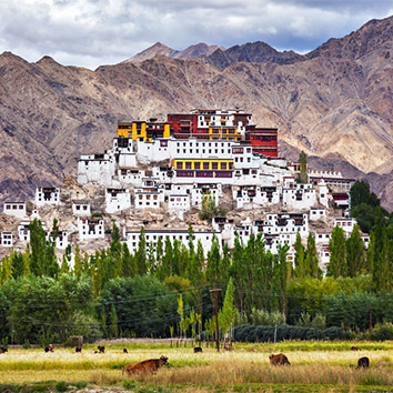 Thiksey Gompa 