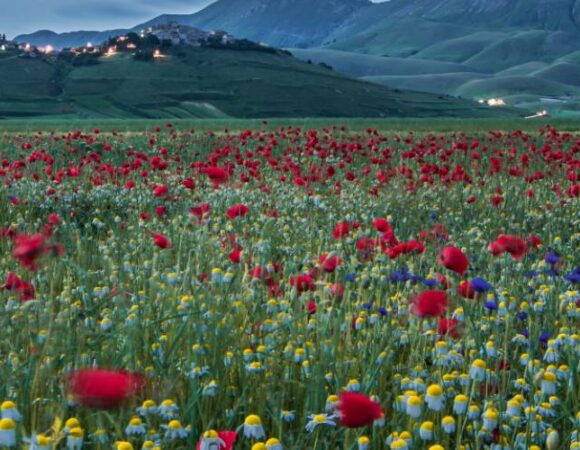 Gardens in Jammu & Kashmir