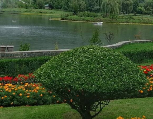 BOTANICAL GARDEN- SRINAGAR