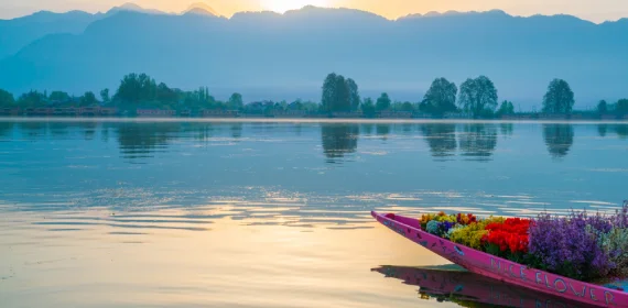  Enjoy Shikara Rides on Dal & Nigeen Lakes