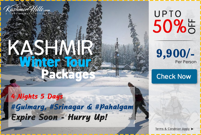 kashmir-winter-packesg-popup4