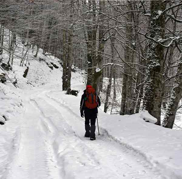 KASHMIR WINTER TOUR PACKAGE (6 NIGHTS & 7 DAYS)