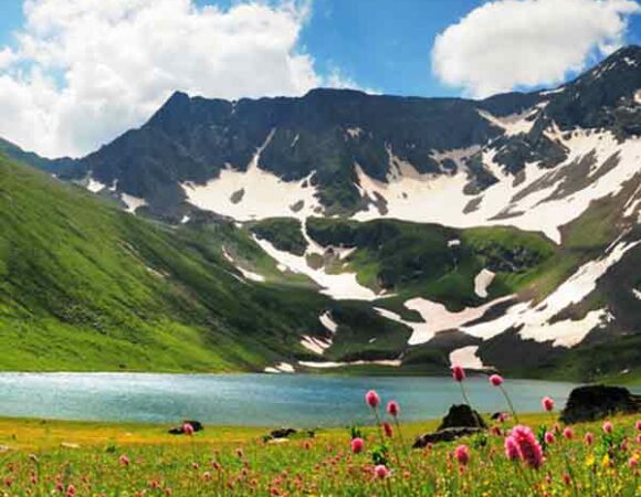 KASHMIR SUMMER TOUR PACKAGE  (7 NIGHTS & 8 DAYS)