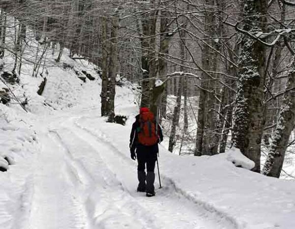 KASHMIR BUDGET TOUR PACKAGE ( 3 NIGHTS & 4 DAYS )