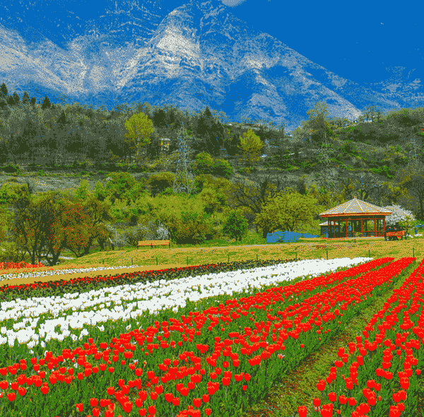 KASHMIR SUMMER TOUR PACKAGE ( 4 NIGHTS & 5 DAYS )