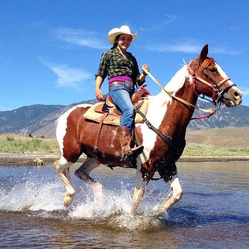 Horseback Riding