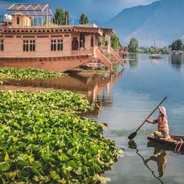 kashmir group tour package