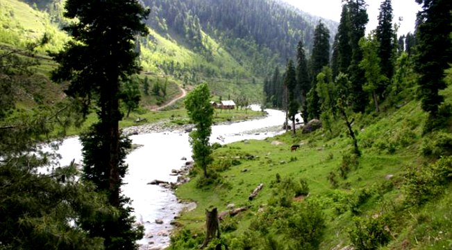 THE FIROZEPORE NALLAH