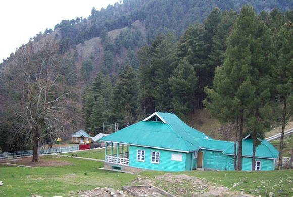 CHINAR IN KISHTWAR