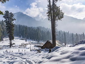 Pahalgam Sightseeing 