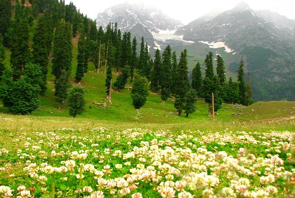 Gulmarg