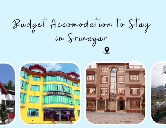 Best Budget Hotels and Value for Money Properties to stay in Srinagar