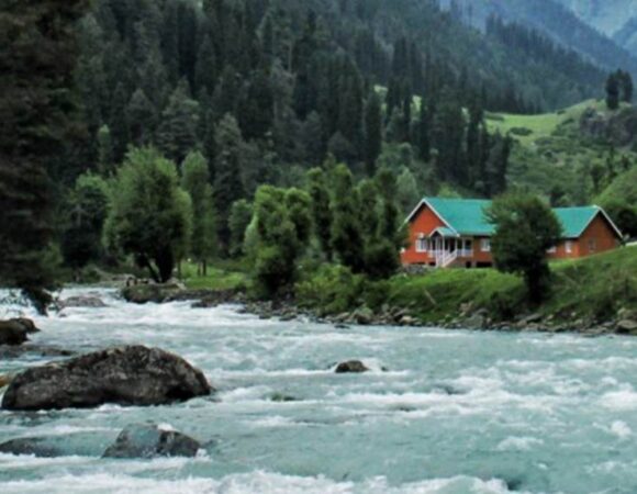 Daksum Forest Anantnag – J&K