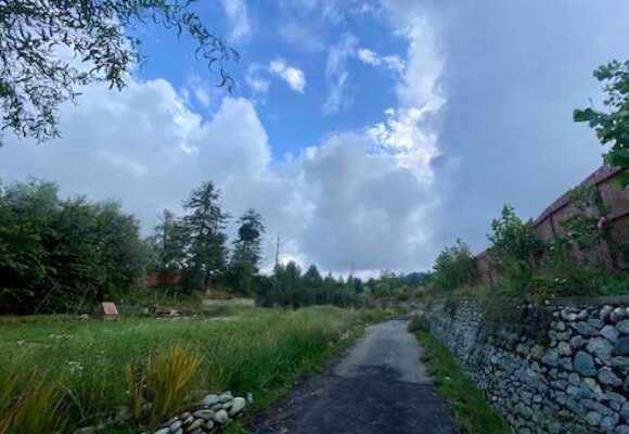 The Trout Stream kashmirhills.com