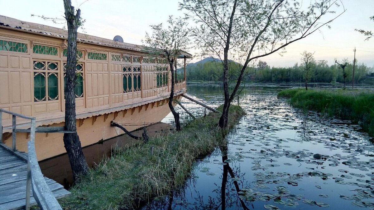 king houseboat kashmirhills.com