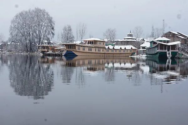 Butterfly Group of Houseboat kashmirhills.com