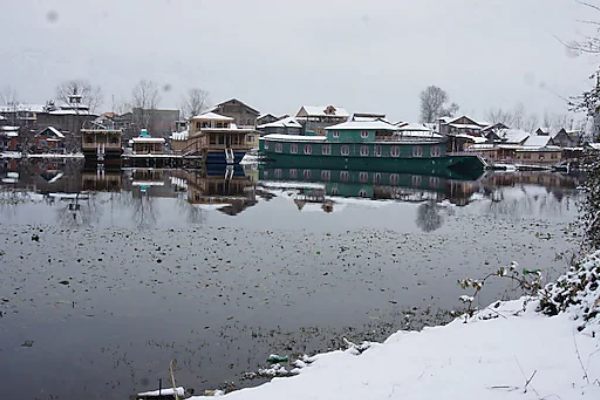 Butterfly Group of Houseboat kashmirhills.com