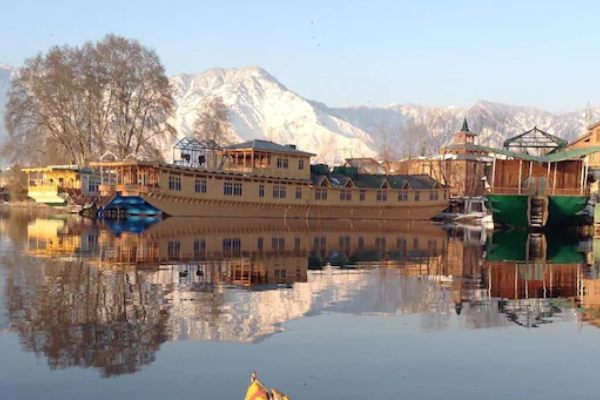 Butterfly Group of Houseboat kashmirhills.com