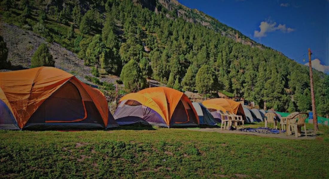 GUREZ CAMPSITE (WILDWOOD) kashmirhills.com