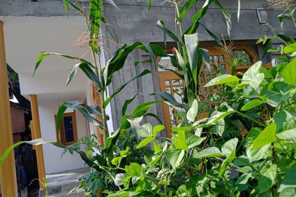 Home Shugufta Villa Homestay kashmirhills.com