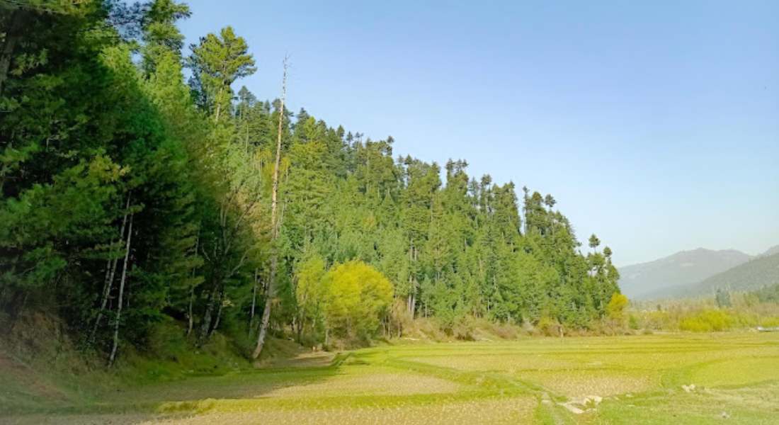 Lolab Valley kupwara KAshmirhills.com