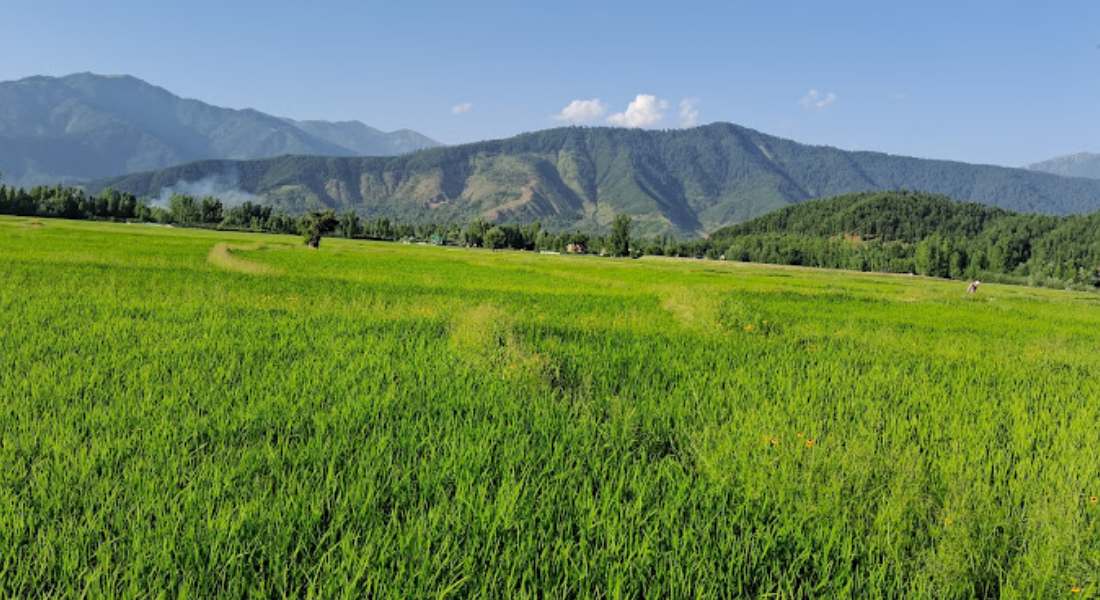 Lolab Valley kupwara KAshmirhills.com