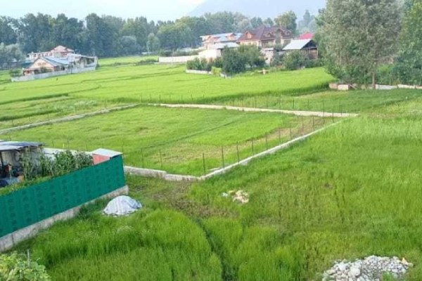 POP Rohi Homestay kashmirhils.com