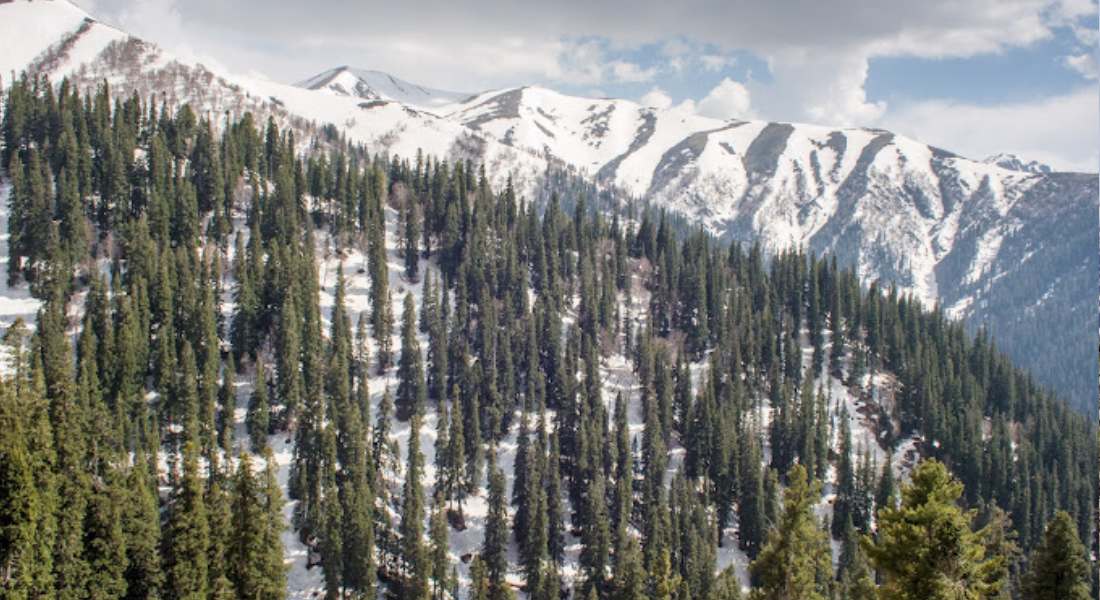 Sinthel Top Pahalgam kashmirhills.com (1)