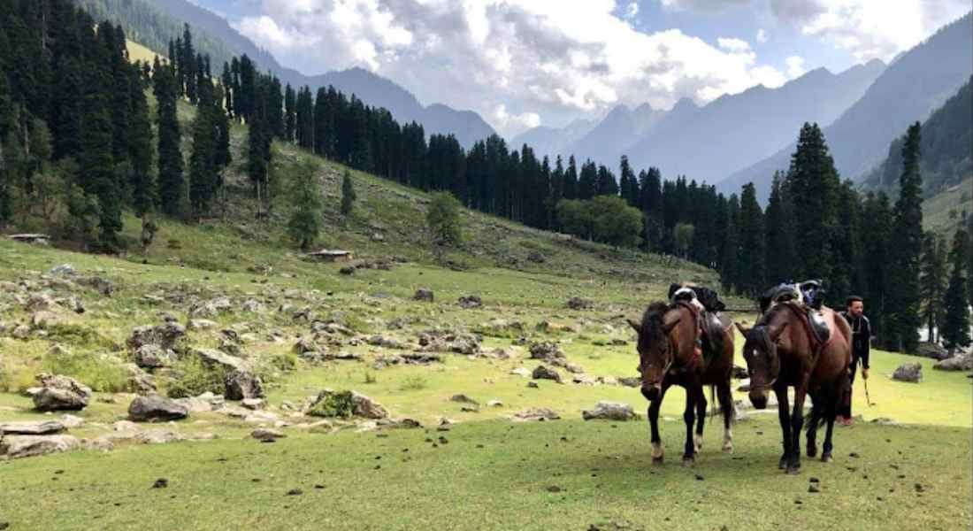 Tarsar Lake Pahalgam (1)