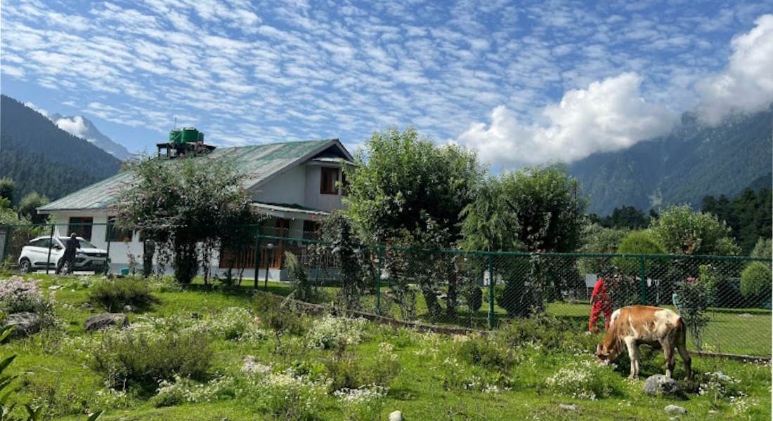 tulip Cottage kashmirhills.com