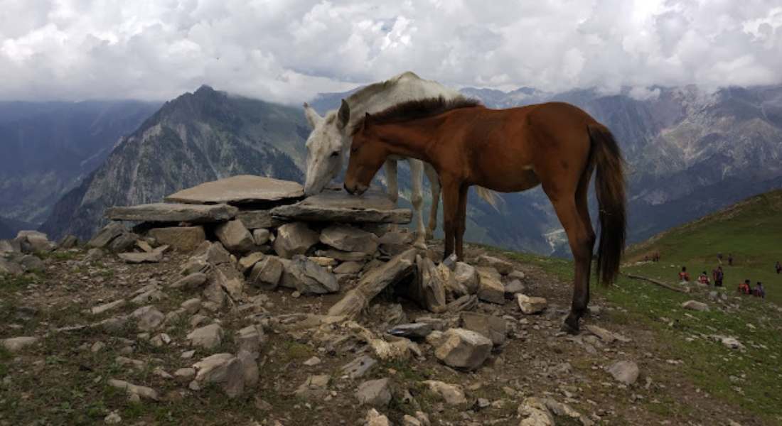 hotel sindh resort sonamarg kashmirhills.com