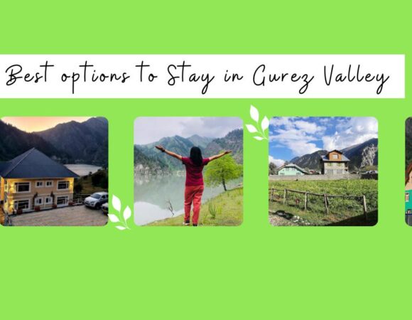Options To Stay in Gurez Valley