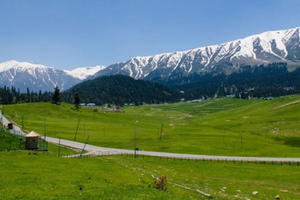 Trek to the Khilanmarg Valley Kashmirhills.com