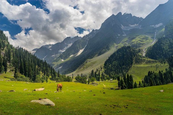 Trek to the Khilanmarg Valley Kashmirhills.com