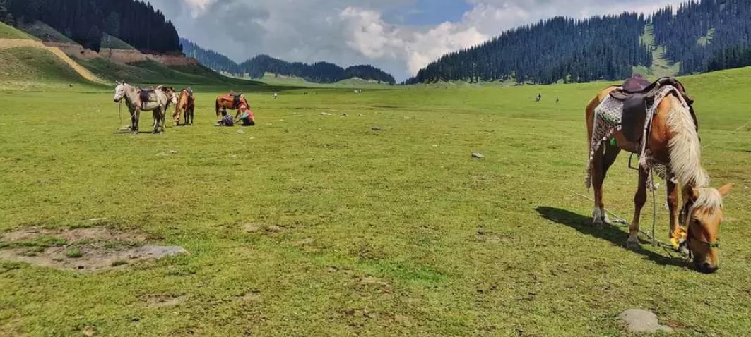 Bungus Valley Kashmirhills.com