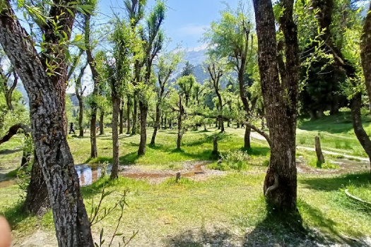 Chandanwari Kashmirhills.com (3)