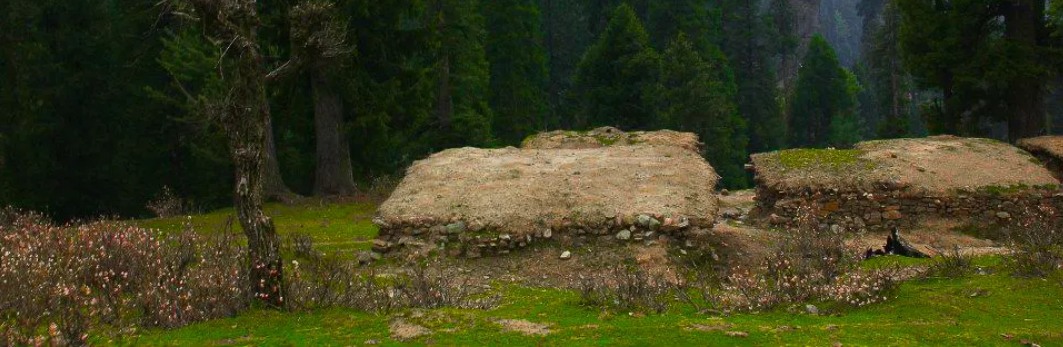 Daksum Kashmirhills.com