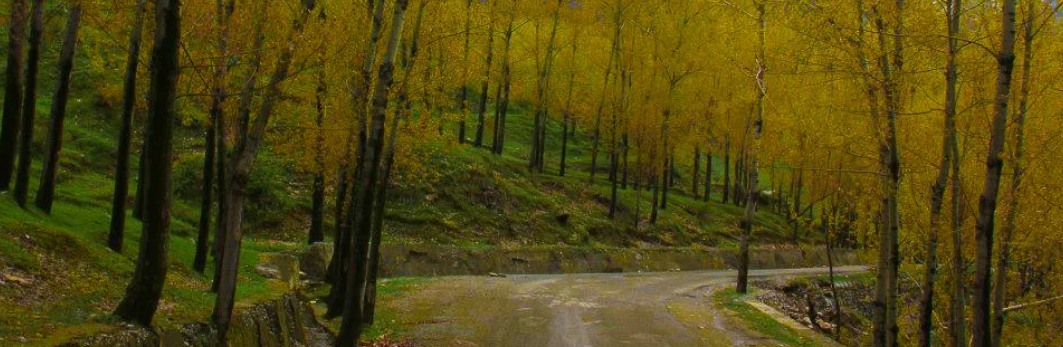 Daksum Kashmirhills.com