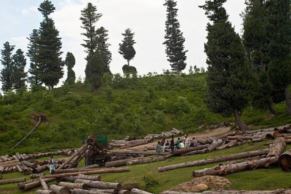 Doodhpathri kashmirhills.com
