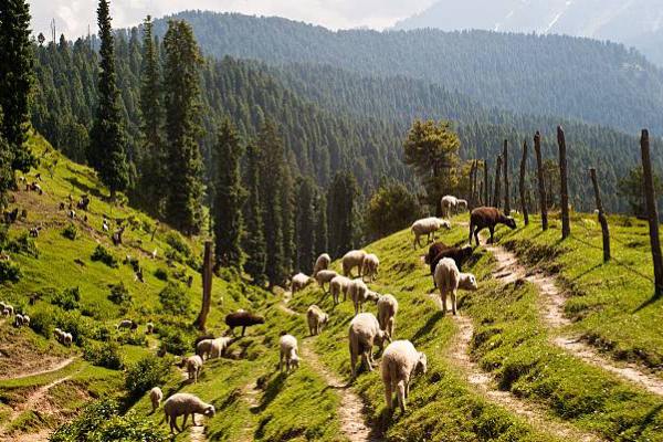 Doodhpathri kashmirhills.com