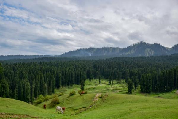Doodhpathri kashmirhills.com