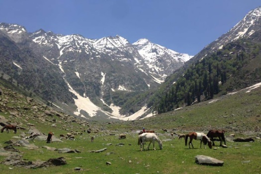 Kolahi Glacior Kashmirhills.com