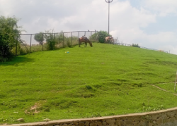 Lush Meadows Kashmirhills.com