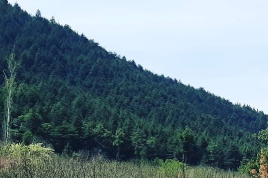 Shikargarh kashmirhills.com