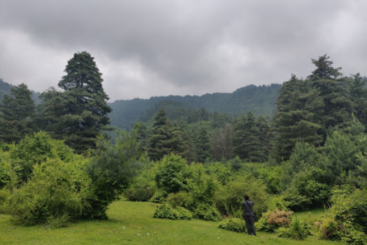Shikargarh kashmirhills.com